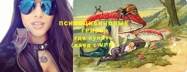бошки Аркадак
