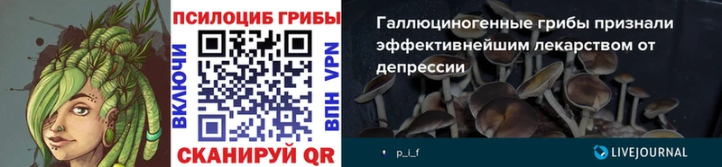 Псилоцибиновые грибы мицелий Славгород